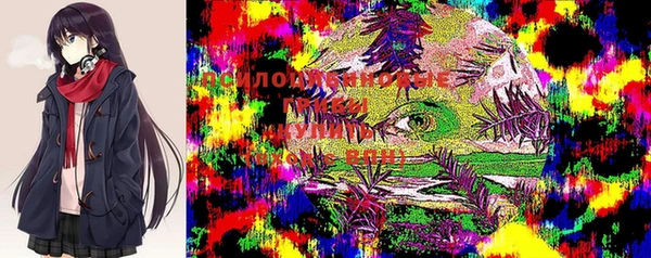 гидра Бронницы