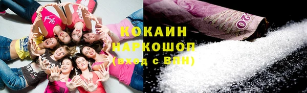 крисы Белокуриха
