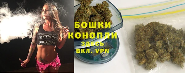 дурь Богданович