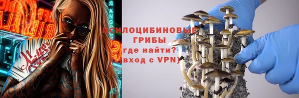 винт Бородино